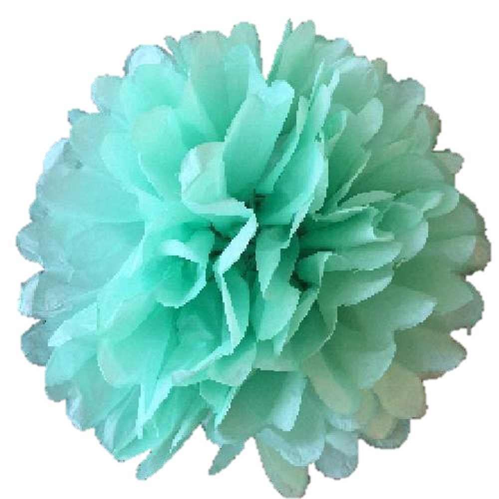 Matissa Mint Green Tissue Paper Pompoms 8"(20Cm) Pack Of 10 Wedding Party Decorations Pom Pom (Mint Green)