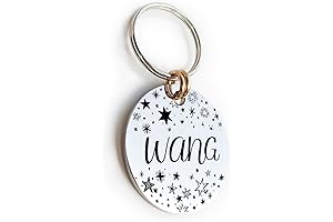 Shiny Stainless Steel Dog and Cat Collar Tag with Custom Engraved Name