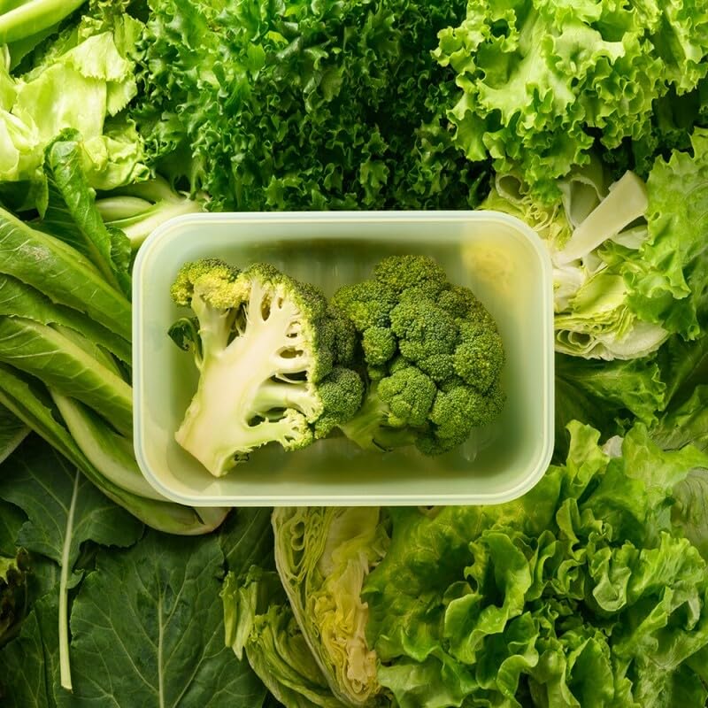 Image of LocknLock Fresh-Block Plastic Food Storage Container | Produce Storage Containers for Fridge | Vegetable & Fruit Storage Containers for Fridge, Storage, Microwave & Dishwasher Safe, 760ml