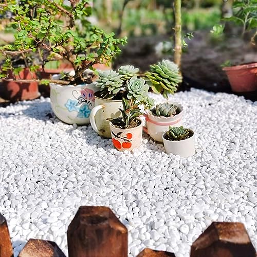 Image of YISZM 10LB Succulent and Cactus Gravel, 1 /5 Inch White Natural Decorative Polished Pebbles for Landscaping, River Rocks for Plants, Vases, Aquariums, Terrarium and Outdoor Gardening