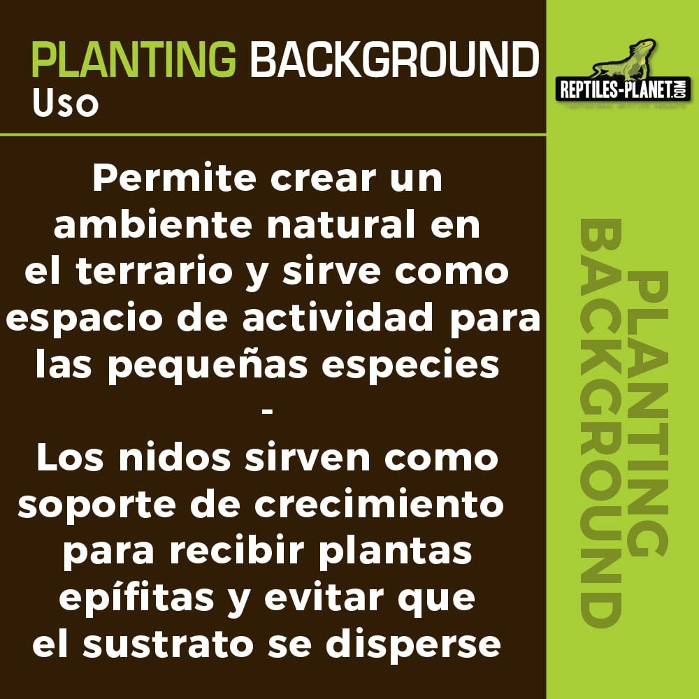 Reptiles Planet – Imagen de Fondo de Coco para terrarios para Planter 30 x 30 x 1 cm