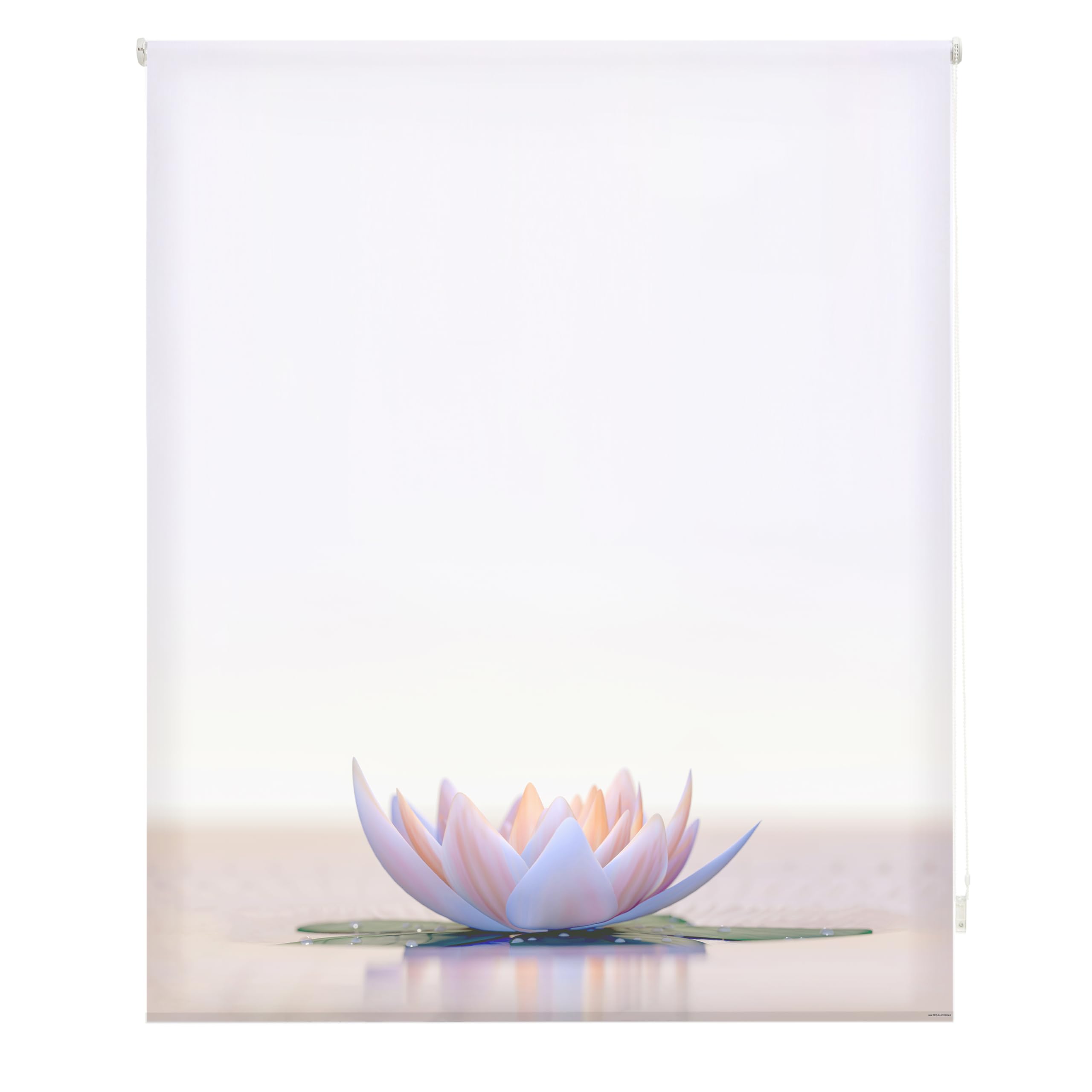 Blindecor Digitale | Tenda avvolgibile traslucida stampata | Famiglia Zen| Modello Z-LOTUSCALM | 130 x 180 cm (larghezza per altezza) Dimensioni del tessuto 126 x 175 cm | Tende per finestre