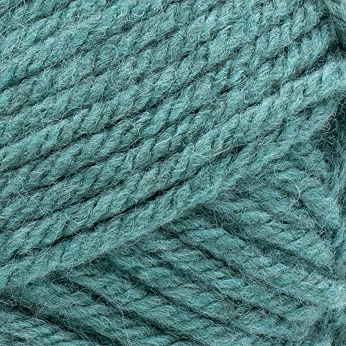 Image of Lion Brand Hue + Me Yarn for Knitting, Crocheting, and Crafting, Bulky and Thick, Soft Acrylic and Wool Yarn, Agave, (5-Pack)