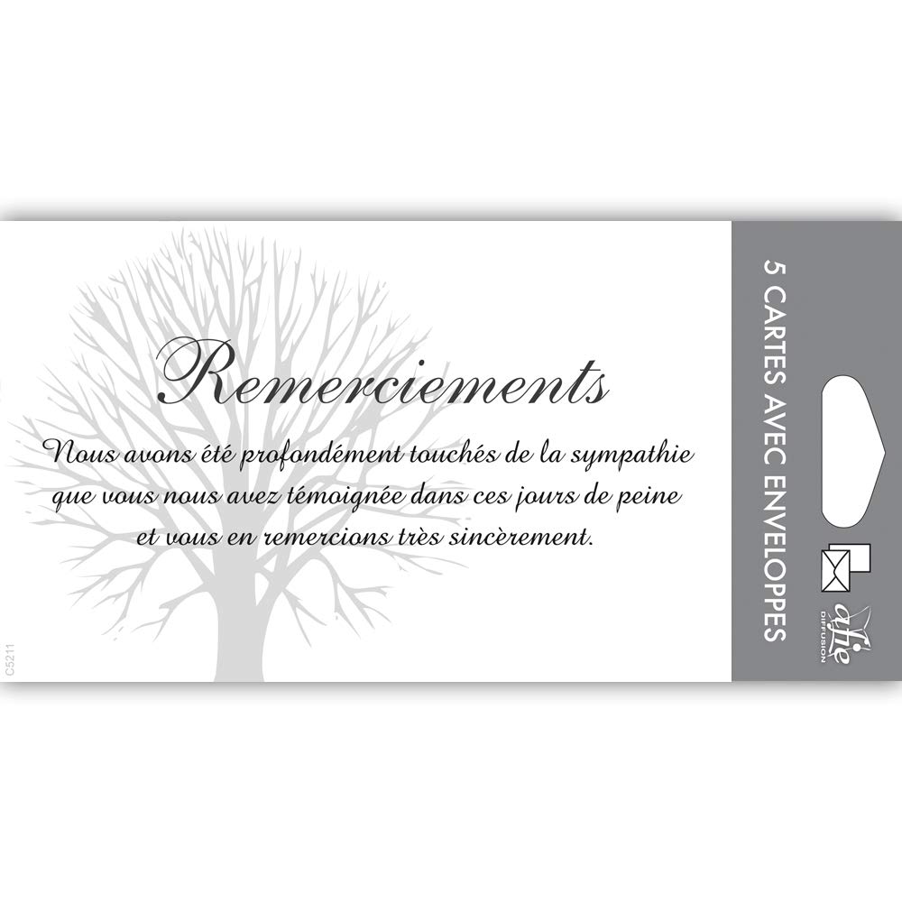 AFIE Condolences – Set of 5 Identical Cards and White Envelopes – Size 9 x 14 cm – Text Sympathy Witnessed Punishment Death Funeral Mourning – Made in France C5211