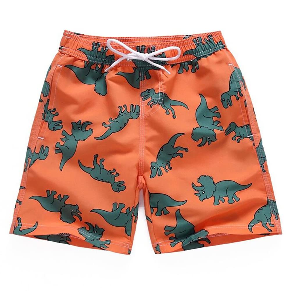 Fedmois Boys Dinosaurs Swimming Trunks Quick Dry Beach Shorts Boardshorts, 13-14 Years