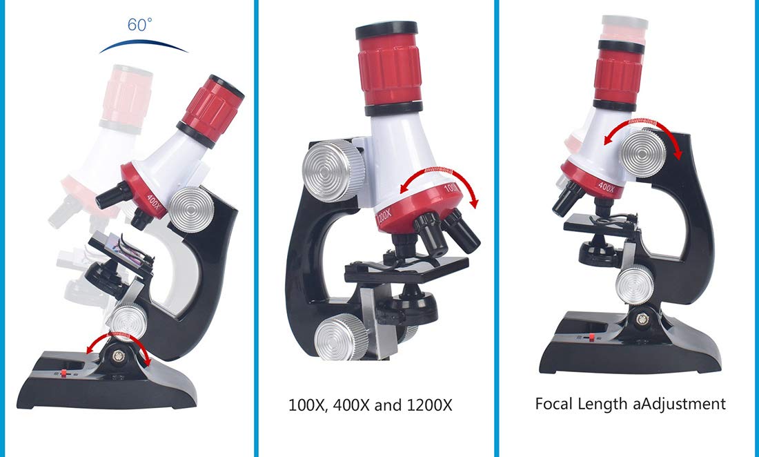 Les Meilleurs Microscopes Pour Enfants : Guide D’achat 2023 – Le JSD