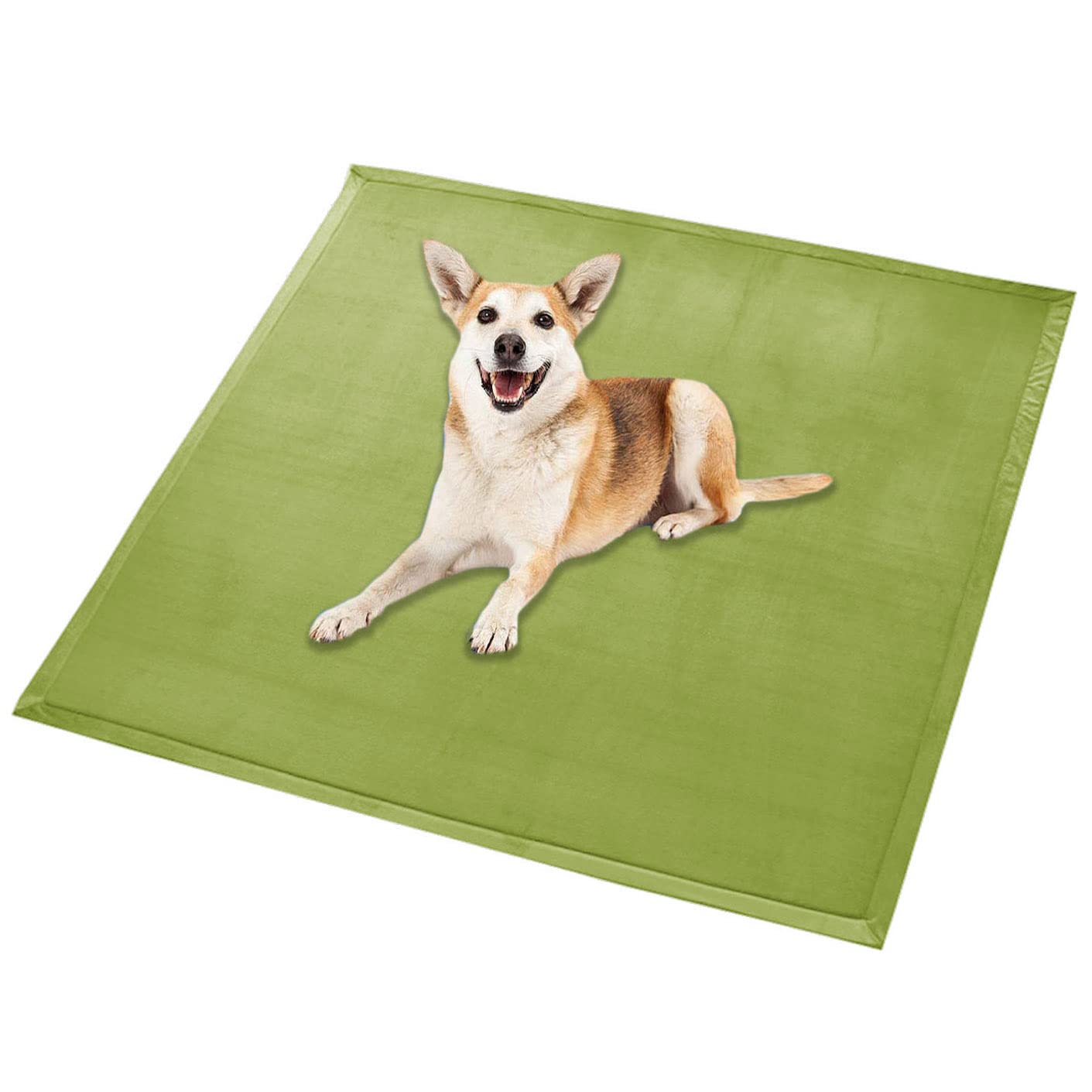 Waigg Kii Large Dog Bed Mat Soft Coral Velvet Large Pet Mat,Calming Cat Sleeping Mat Non-Slip Dog Mattress for Small Medium Large Dogs Cats (150x150cm,Green)