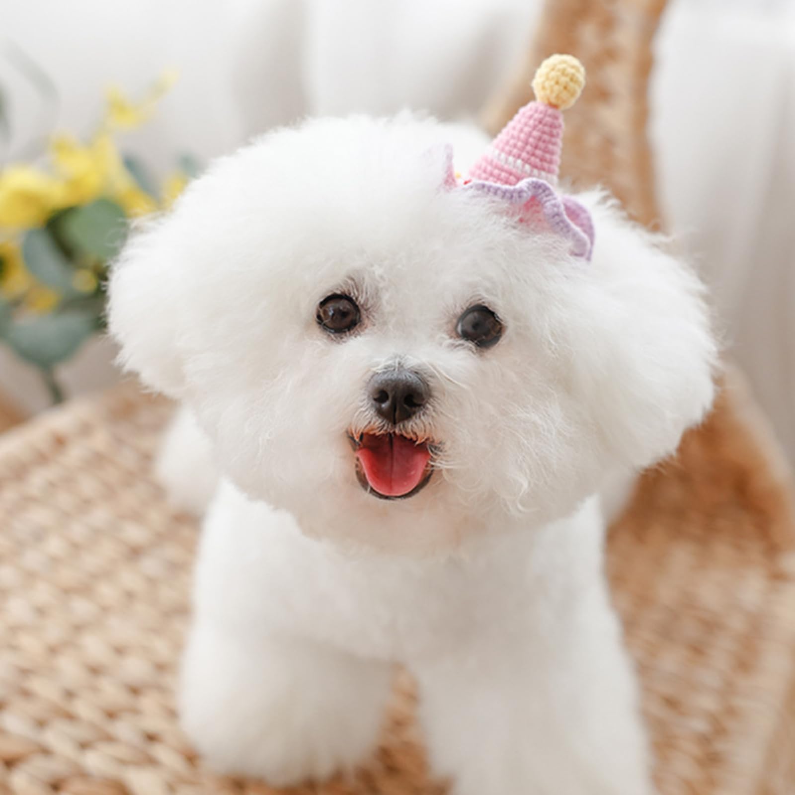Amazon | FUNETO犬 猫 髪飾りアクセサリー 犬用 ヘアクリップ ヘアピン