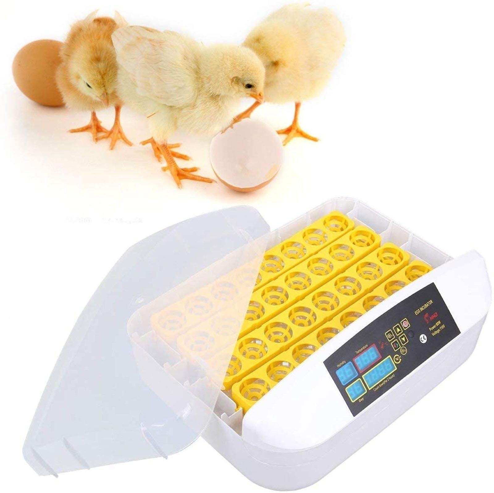 JAYEUW Brutautomat 16 Eier - Digitaler Inkubator Mit Automatischem Wender Für Hühner & Wachteln