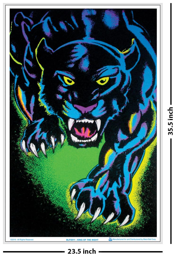 Amazon.com: Scorpio Posters King of The Night Black Cat