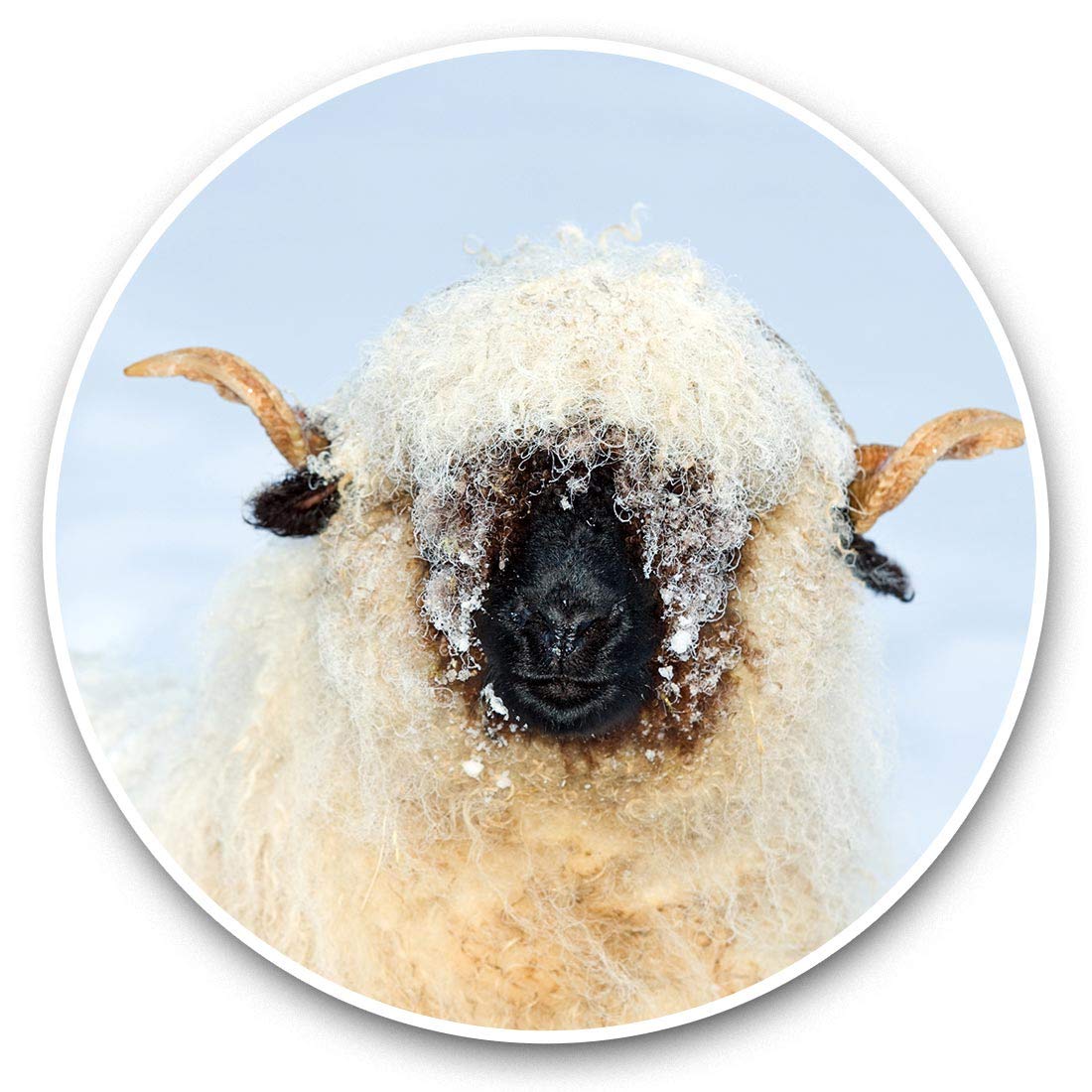 Destination Vinyl Ltd Welsh Blacknose Sheep In Snow 46415 Awesome Vinyl Stickers (Set Of 2) 7.5Cm - Welsh Blacknose Sheep In Snow Fun Decals For Laptops,Tablets,Luggage,Scrap Booking,Fridges #46415