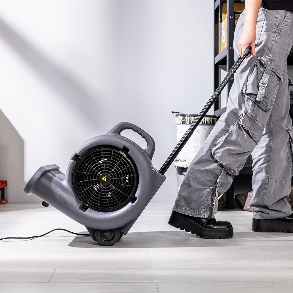 Cecotec Souffleur de Sol Ventilateur de Séchage Blowindustry 6000 Flowfloor, 600W, 1350 Tr/min, 3 Vitesses, Débit d'Air 2700 m³/h, Roues et Poignée Rétractable, Contrôle Intuitif, Facile à Transporter