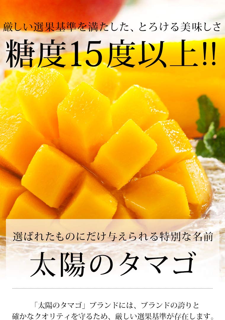 Amazon.co.jp: マンゴー 宮崎マンゴー 太陽のタマゴ 青秀 3Lサイズ 2玉