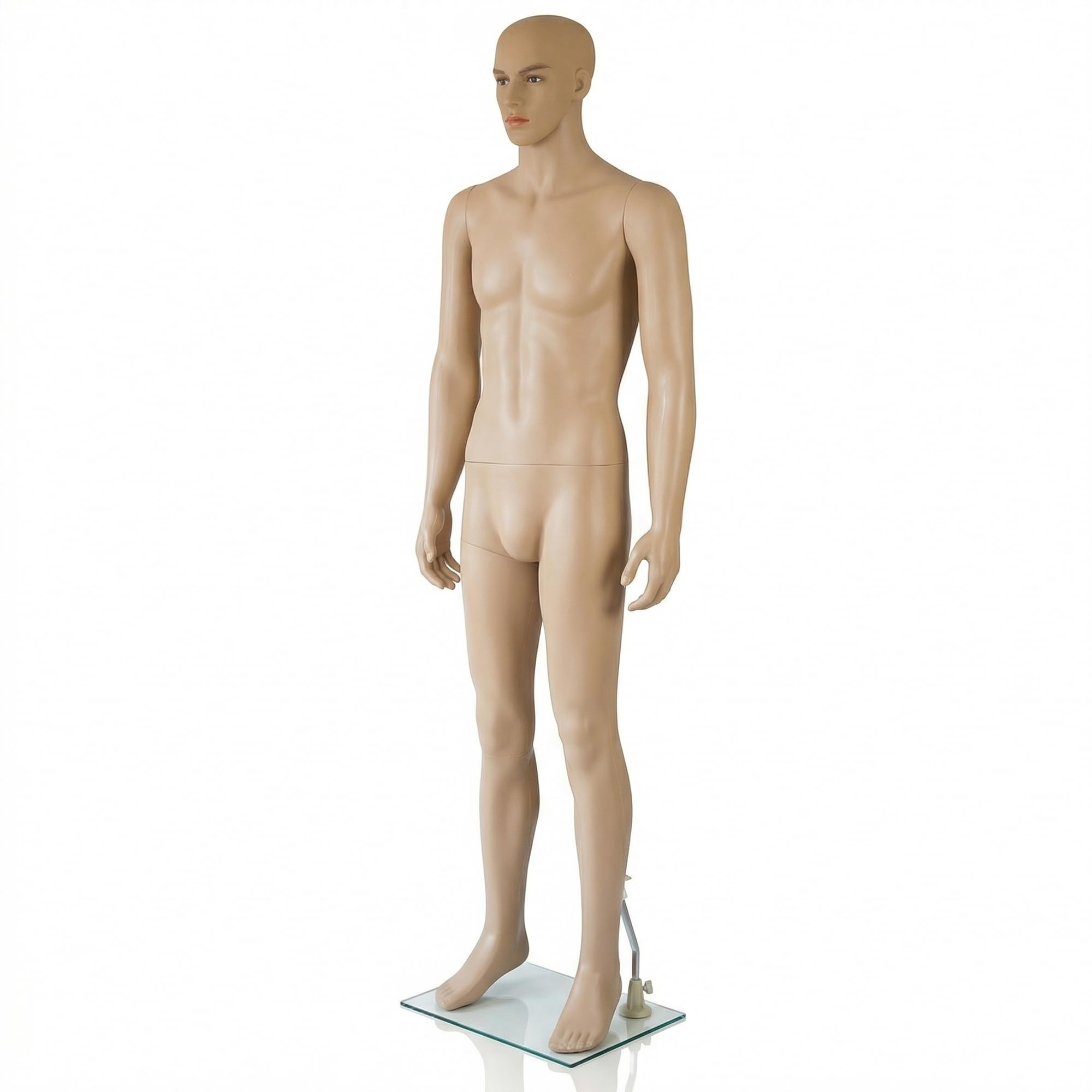Mucola Schaufensterpuppe Mann 185 cm – Männliche Schneiderpuppe mit beweglichen Gelenken – Realistische Schaufensterfigur Herren-Mannequin mit Glas-Standplatte – Abnehmbarer Kopf & Arme