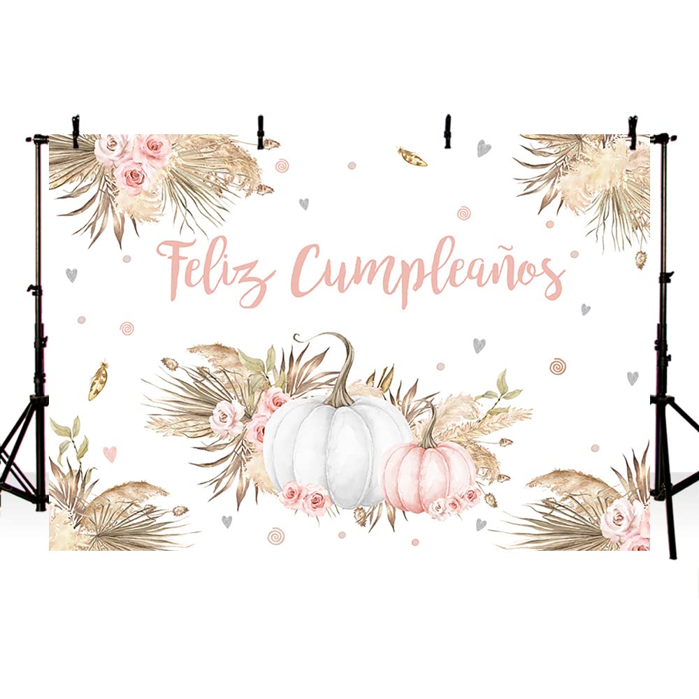 Buy MEHOFOND 7x5ft Fall Pumpkin Backdrop Rustic Wood Harvest Barn String Lights Kids Portrait Photography Background Autumn Thanksgiving Boy Girl Baby