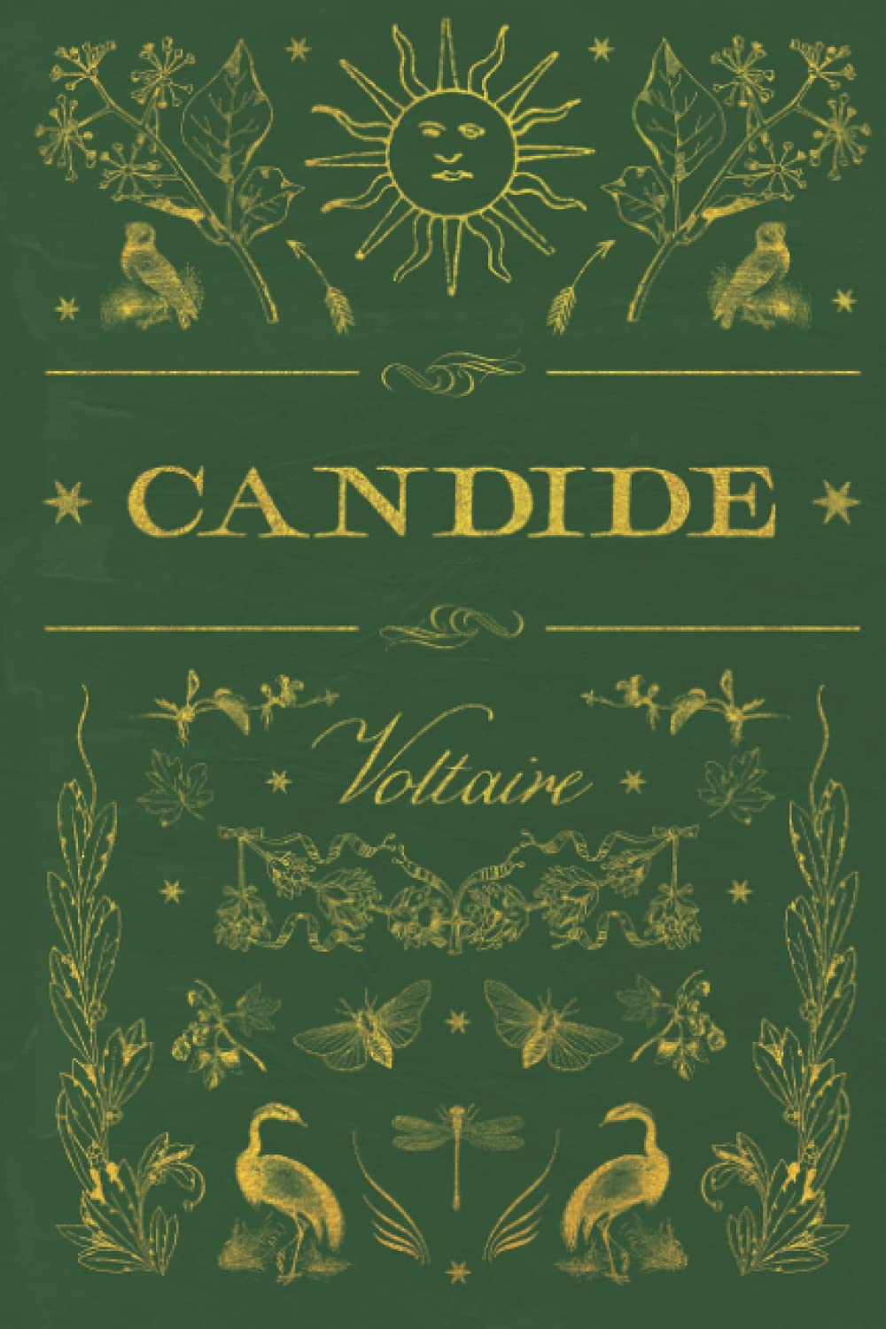 Candide: Illustrated and annotated