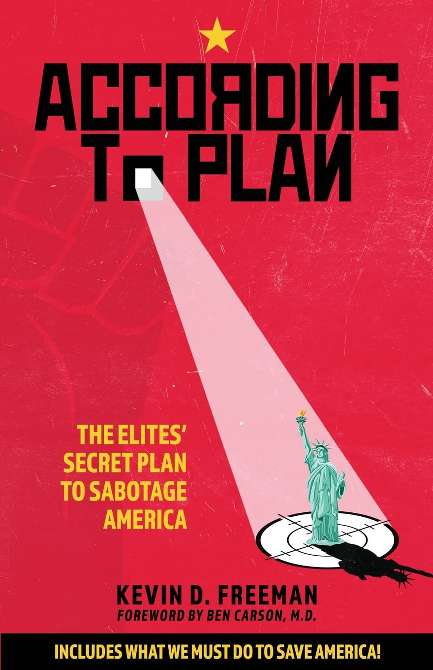 Amazon | According to Plan: The Elites' Secret Plan to Sabotage America