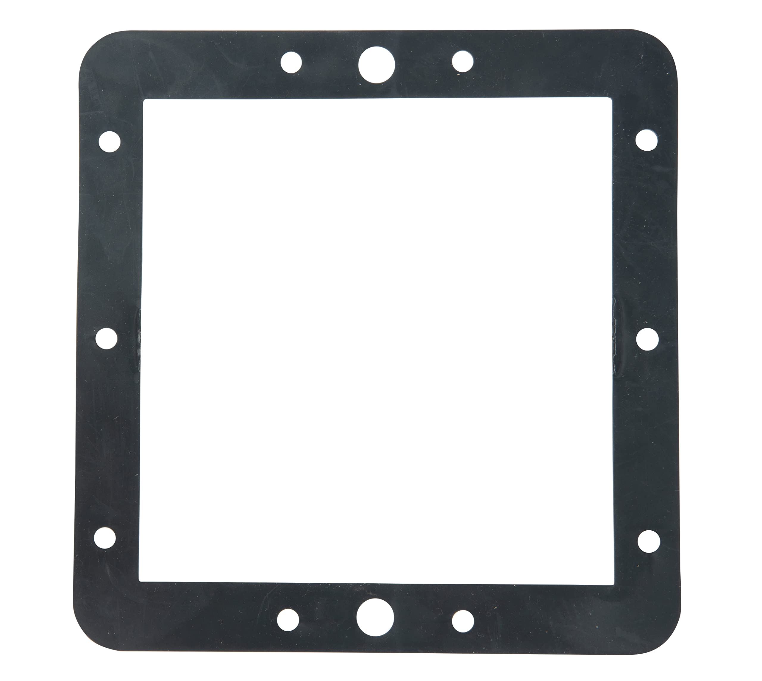 Steinbach Skimmer 060960G - Skimmer con Bocchetta, Colore: Antracite