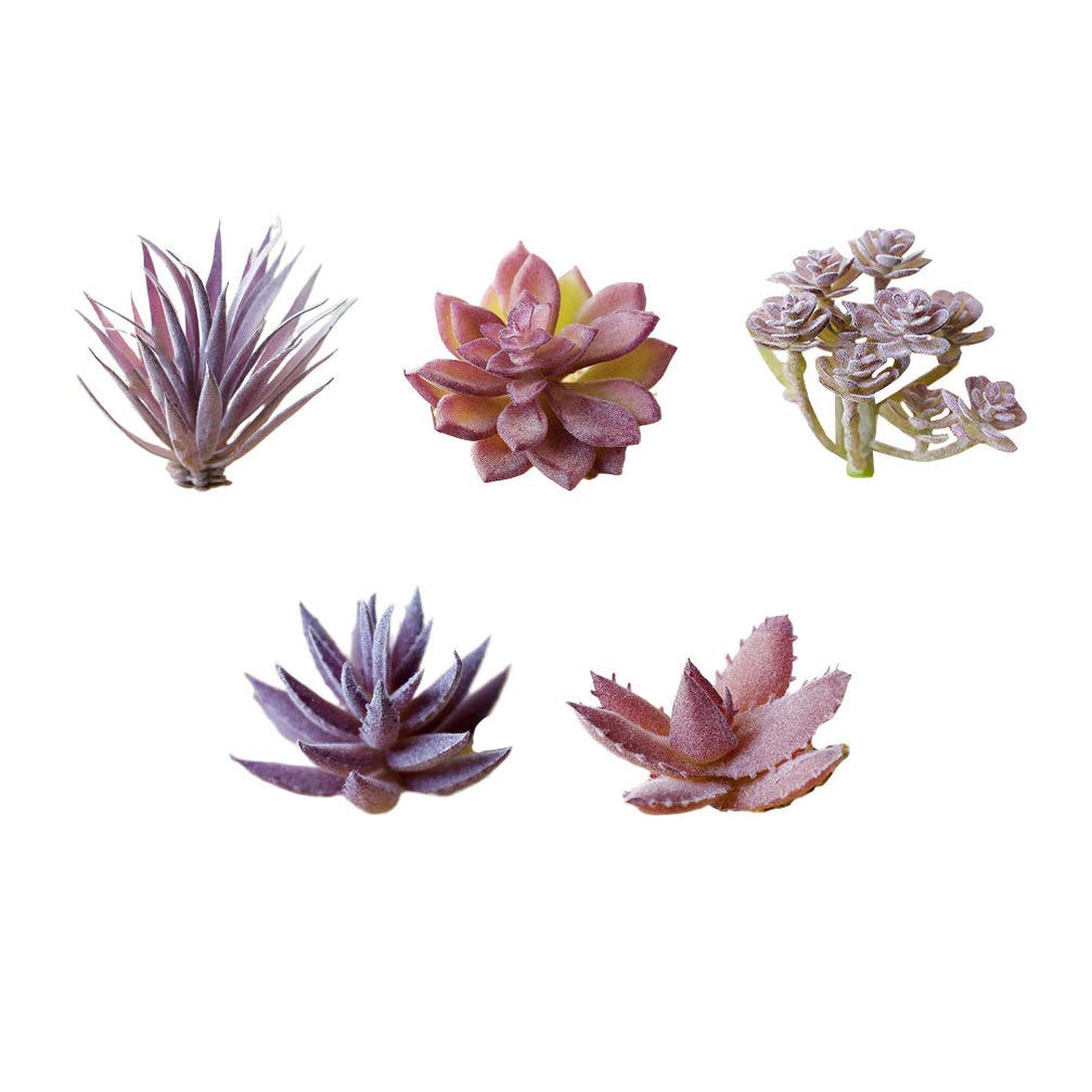 Buy VOSAREA Artificial Succulents Plants Unpotted 5pcs Face Succulents