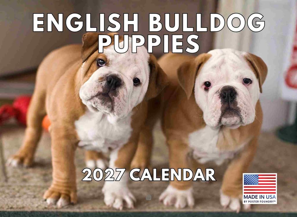Bulldog Dog Puppy 2025 Calendar | Made In The USA โ image 1