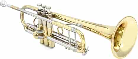 V.Bach stradivarius 72 トランペット マウスピース付き V Bach stradivarius 72 トランペット マウスピース付き｜Yahoo