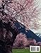 TIBET CHINA Photography Coffee Table Book: A Mind-Blowing Tour of Tibet,China Photography Coffee Table Book: for People Of All Ages Who Love Tourism & Travel. Paperback.July 2,2023.
