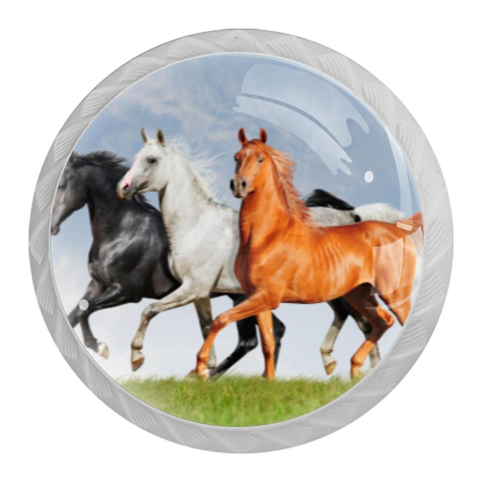 Tqmspg 4 Pieces Drawer Pulls Horse Door Knobs Dresser Handles for Kitchen Wardrobe Cupboard Hardware Furniture