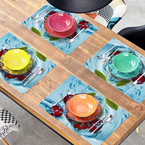 Set de table cerisier 30x45cm résistant chaleur tapis table antidérapant fruit - 8