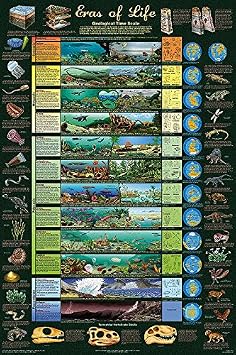 Laminated Eras of Life Geology Educational Science Chart Poster 24x36