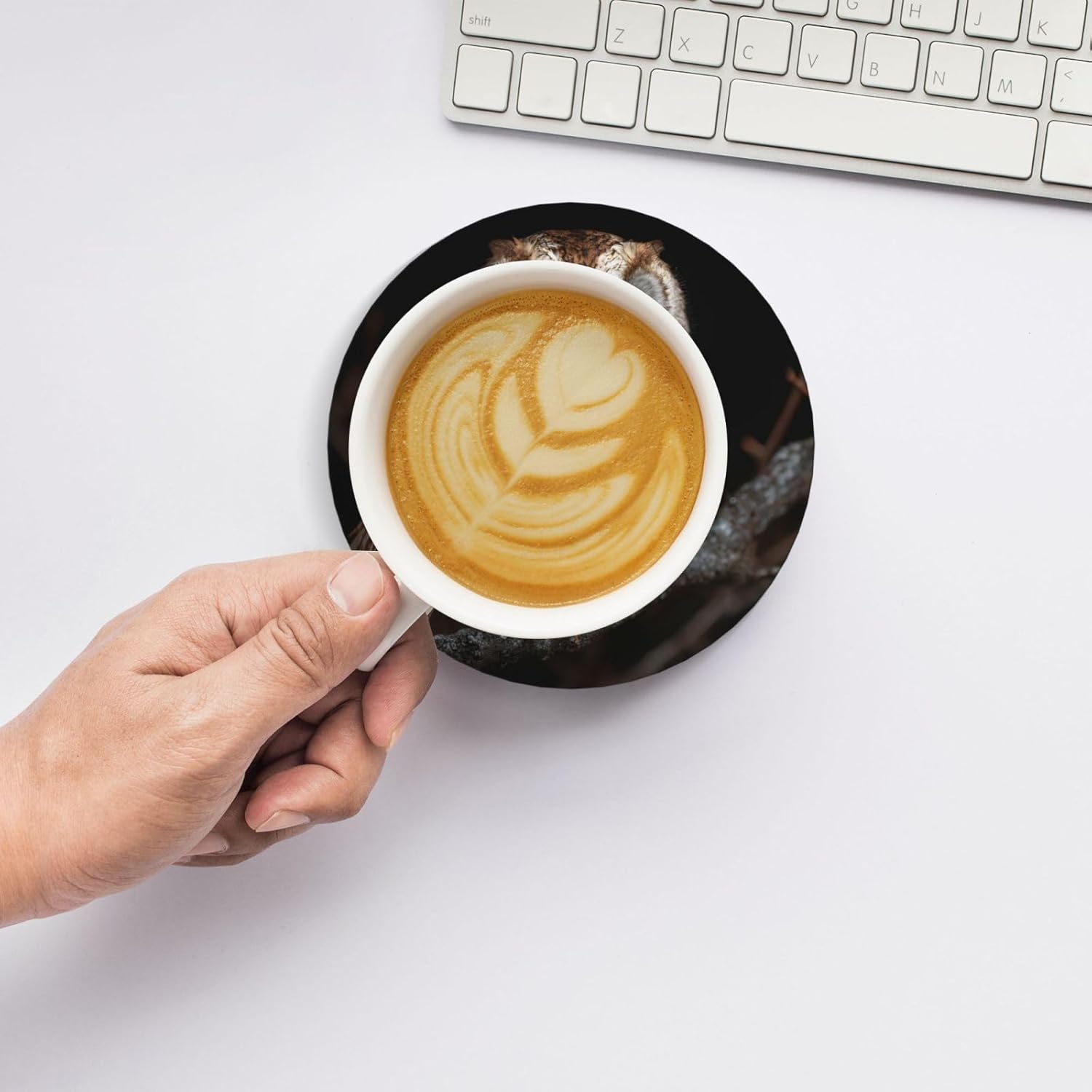 (owl) Ceramic Coasters Set of 6 with Holder Non-Slip Round Coffee Coasters for for Cup Mug Drink Patio Coffee Table Decor, Christmas Coasters Home Bar Supplies