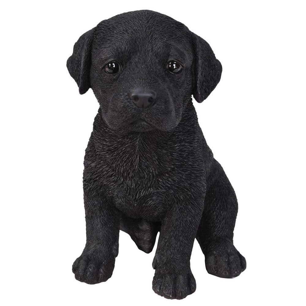 Vivid Arts Pet Pals Black Labrador Pup