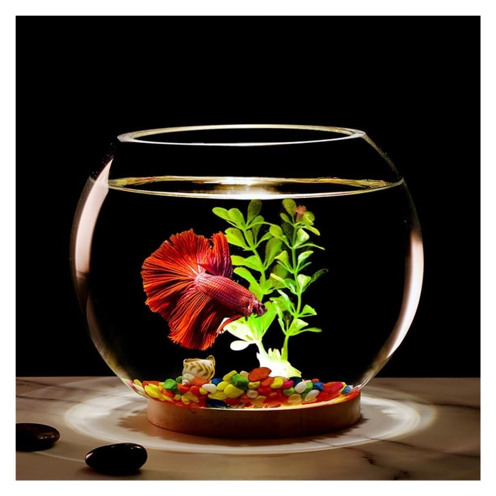 Aquarium Rundes, verdicktes, transparentes Glas-Aquarium for den Schreibtisch, rund, Goldfisch-Aquarium, dekoratives Wohnzimmer-Ornament(30cm)