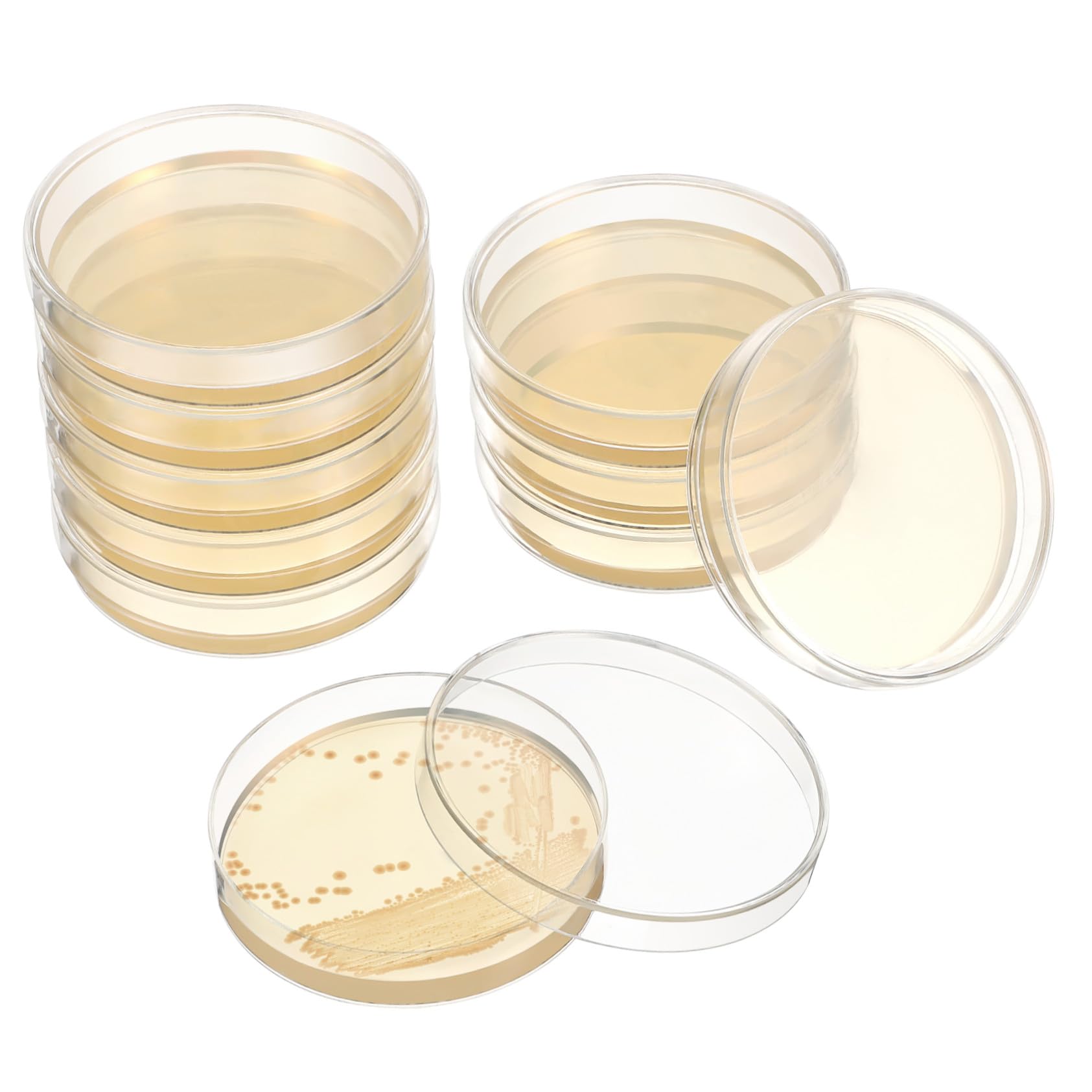 Vorgegossene Agarplatten 20 Stück für Wissenschaftliche Experimente | Laborbedarf im 7-cm Format, Einfache Handhabung, für Schule und Laboranwendung