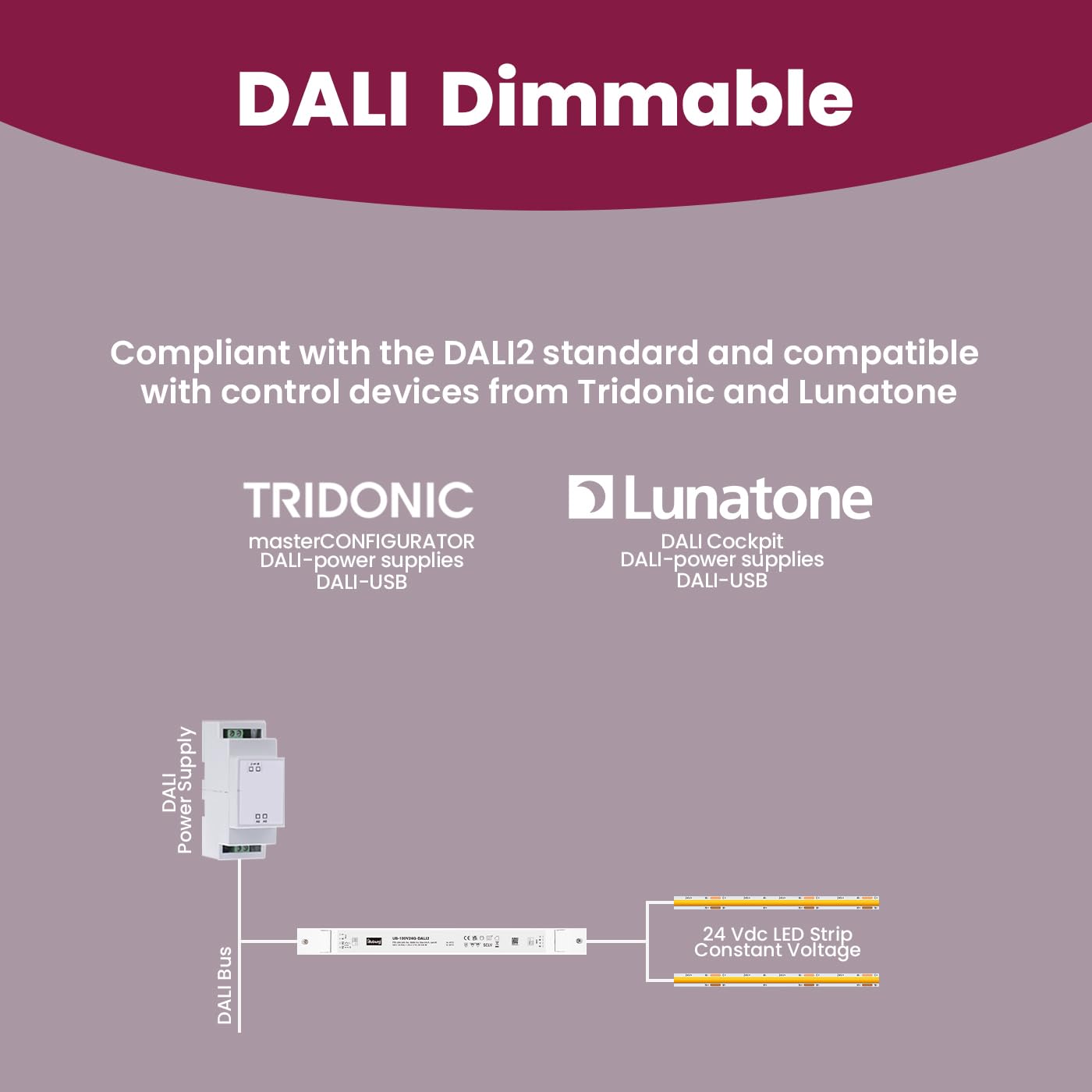 Trasformatore LED 24V 30W - 100W Dimmerabile DALI PUSH Sottile per Strisce LED Alimentatore Driver Power Supply