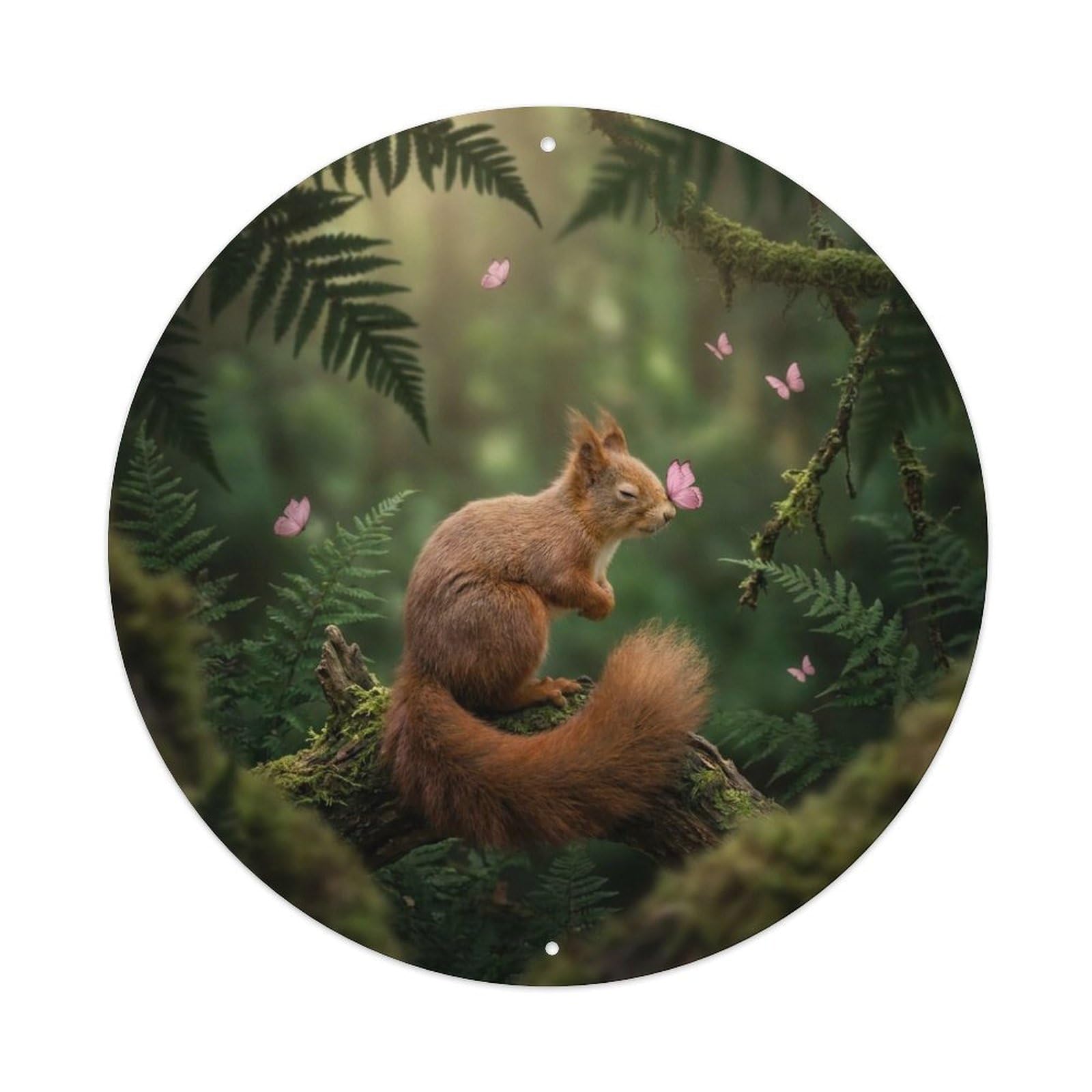 Pink Butterfly Red Squirrel Whimsical Wildlife Woodland Pastel Metal Tin Sign Plaque Wall Decor for Cafe, Man Cave, Club Bar, Office, Home Garden Round Metal Poster 8x8Inch