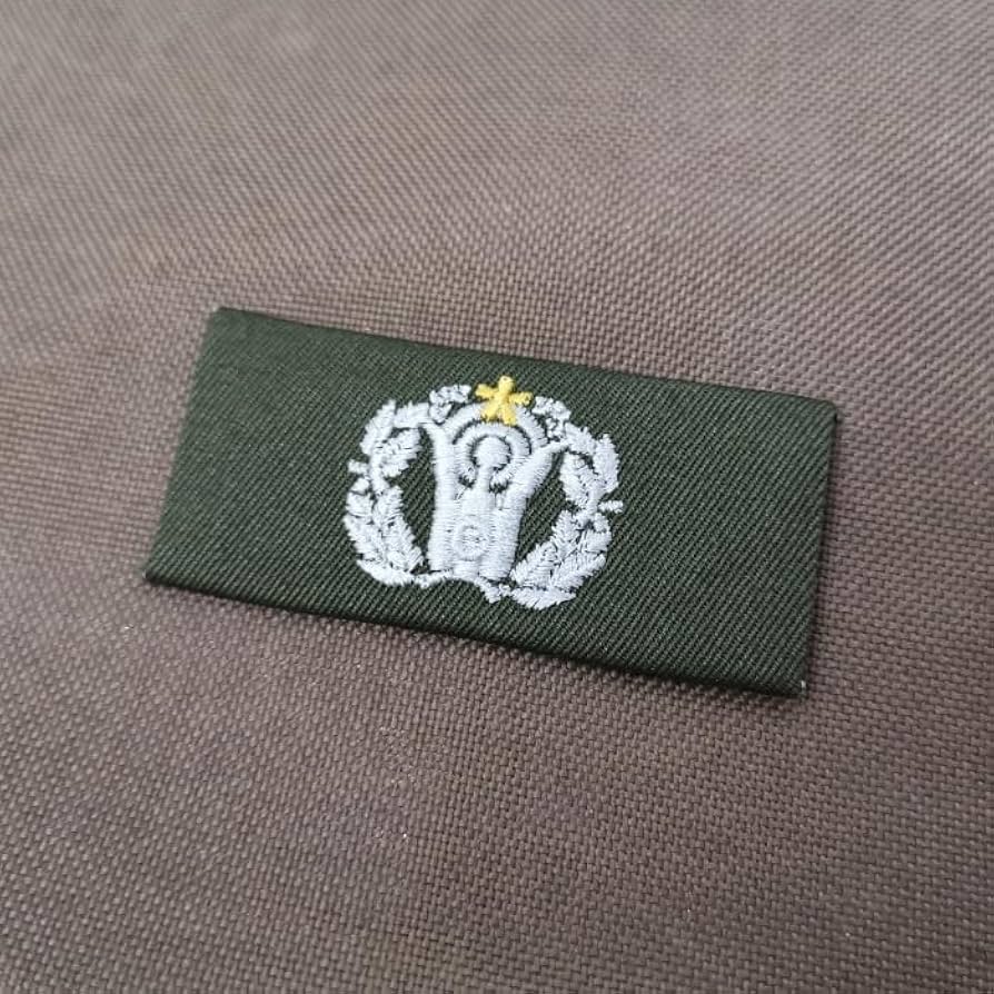 ドイツ 陸軍高射砲兵 徽章 ドイツ 陸軍高射砲兵 徽章 ドイツ 陸軍高射砲兵 徽章 - メルカリ