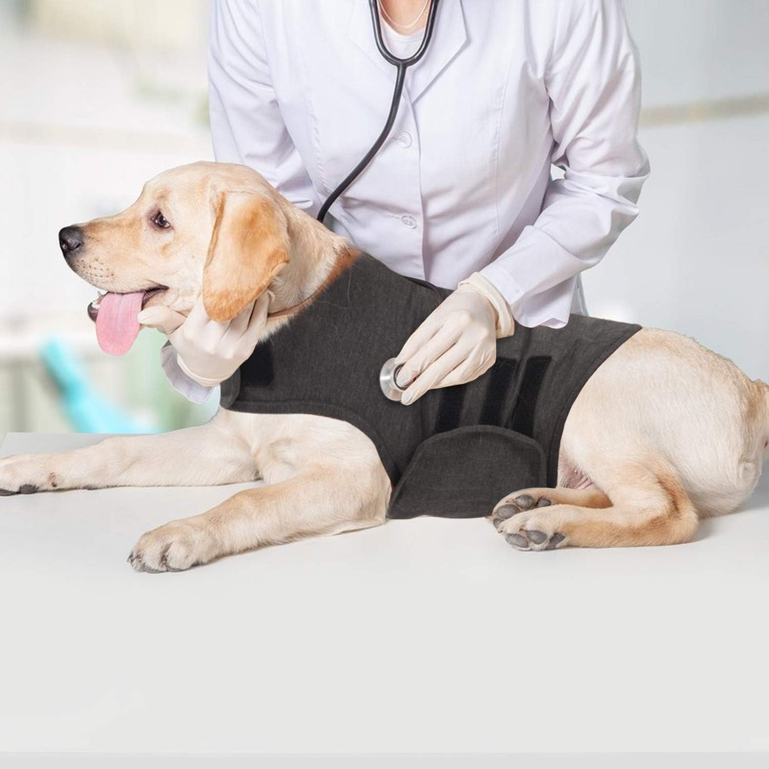 dog storm vest