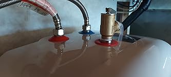 Review Image by wayne paiva wayne paiva