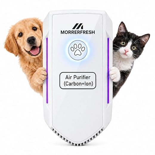 Air Ionizers for Home with Activated Carbon