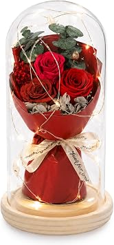 Lian Preserved Flowers for Her Rose Bouquet in Glass Dome LED Light