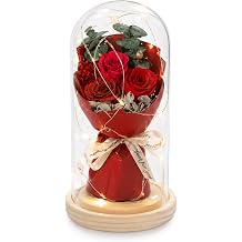 Lian Preserved Flowers for Her Rose Bouquet in Glass Dome LED Light