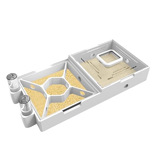 Nest Farm for Live Ants and Queen - Ant Farms