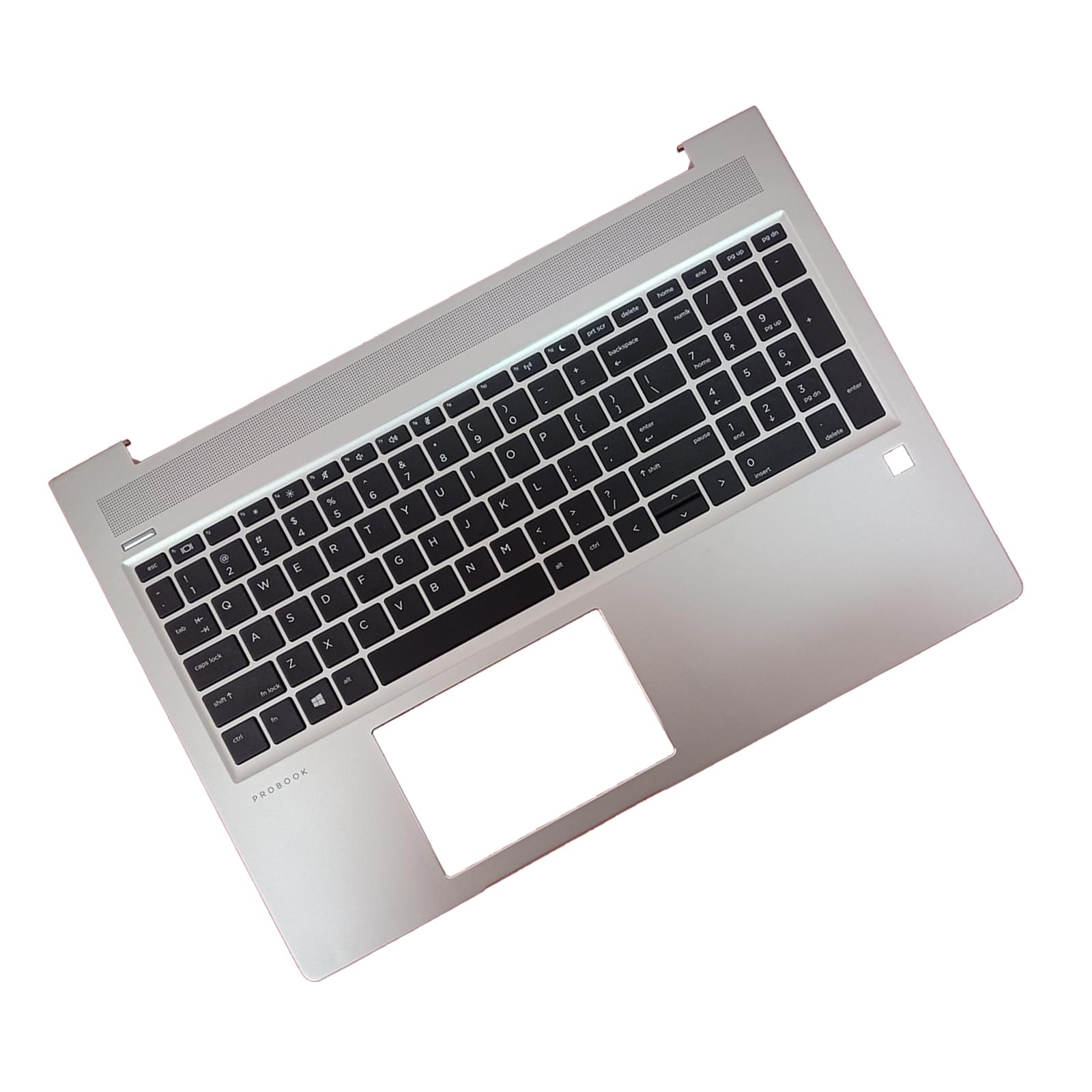 Amazon.com: L45091-001 Replacement for HP Probook 450 455R G6 450