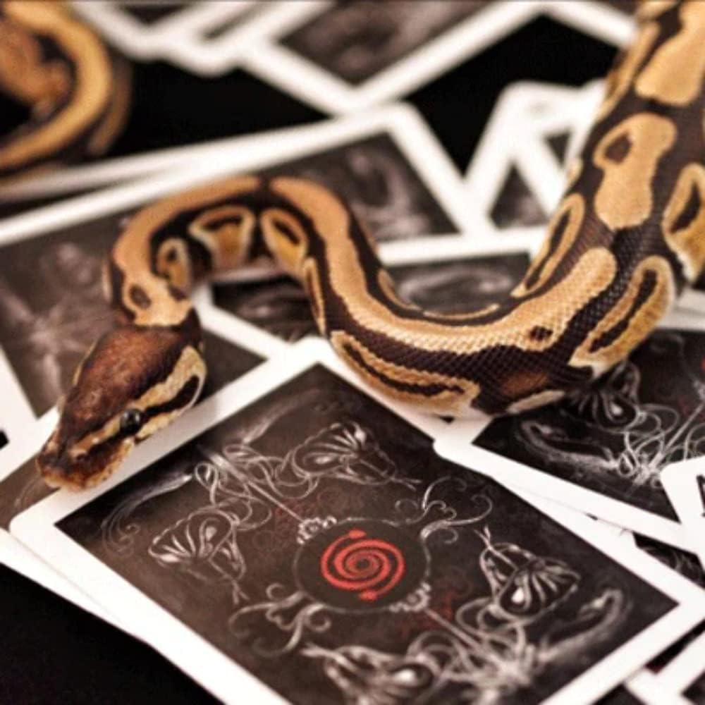 Venom Deck by U.S. Playing Card Company