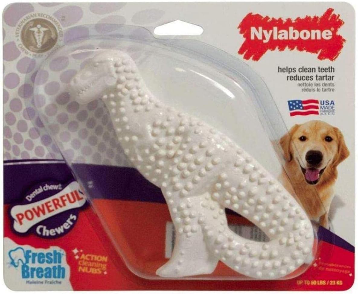 1 Pack Nylabone Durable Dental Dinosaur Chew Toy (Dinosaur Shape Varies), Large