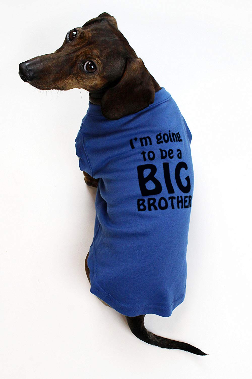 im a big brother dog shirt