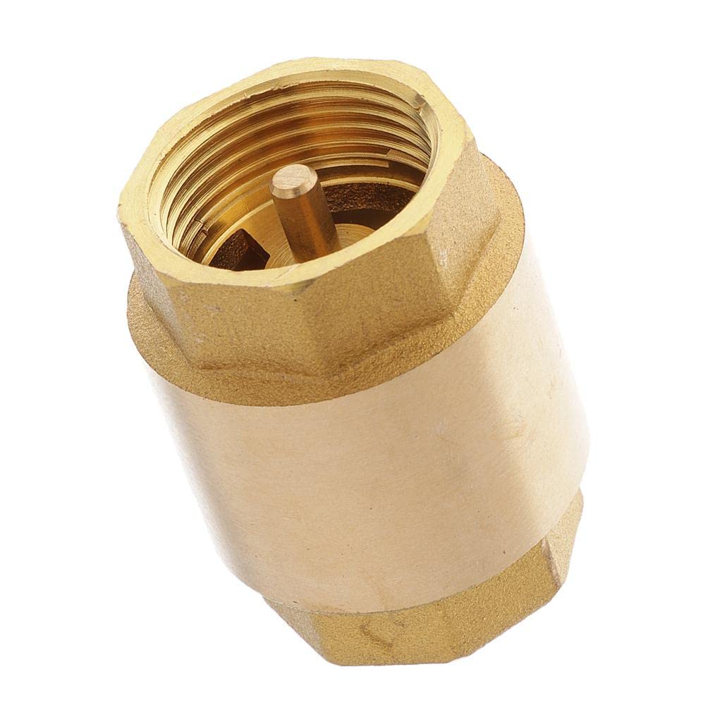 Clapet Anti-retour à Ressort En Laiton – Levage Vertical, Pour Tuyau OD 19 Mm (autres Tailles Disponibles), Pour Eau, Sans Manuel