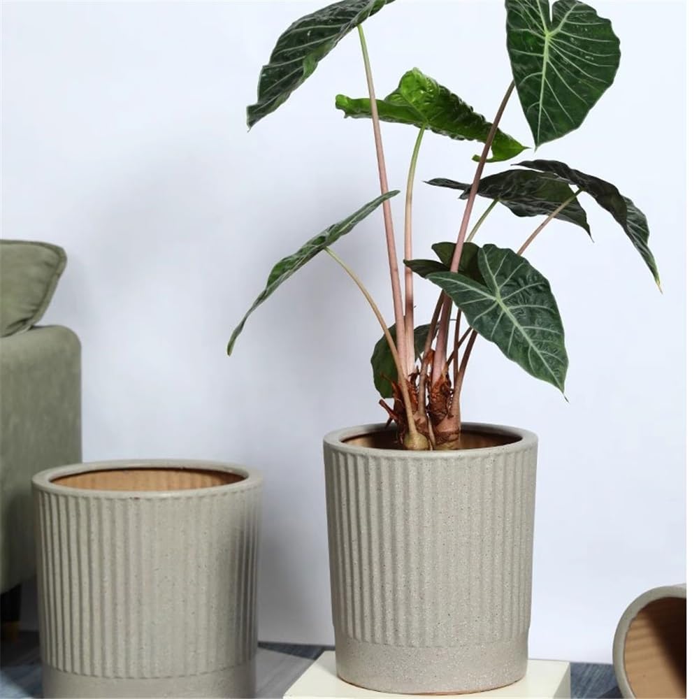 Vfs8dQ5kt Vasi per piante da interno Vaso for piante rotondo in ceramica da 14 pollici con trama a strisce Fioriere da giardino