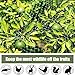 Bird Netting for Garden 6.5x50ft 0.3inch Mesh Green Garden Netting Protect Fruit Trees, Blueberry Bushes, Strawberry Plants, Vegetables, Flowers from Birds, Deer, Squirrels, Rabbits and Other Animals