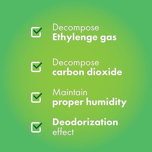 Miniatura 2 de YoojungLab DrLock 236 oz - 2ea 507 oz - 1ea 3 recipientes de almacenamiento de alimentos mantiene las frutas verduras frescas durante más tiempo